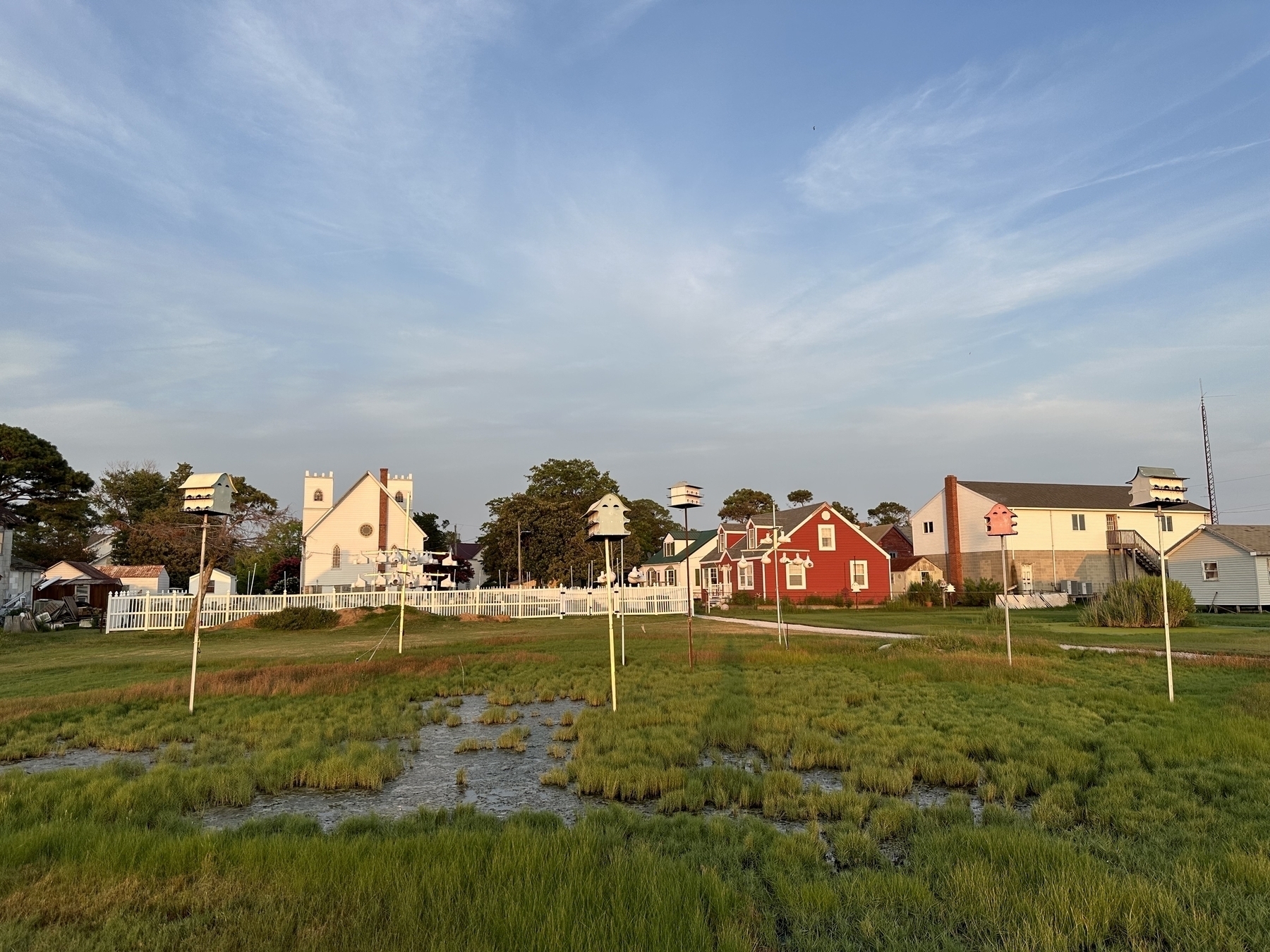 Photo of a swampy field covered in birdhouses on sticks. White and red wood houses are in the background. 